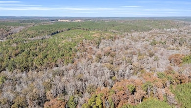 0000 Iron Bridge Rd, Sulligent, AL 35586 - photo 2