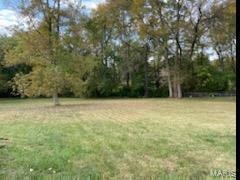 203 N West St, Freeburg, IL 62243 - photo 4