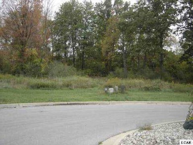 1007 Saw Mill Ct, Adrian, MI 49221 - photo 2