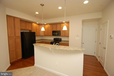 24678 Hutchinson Farm Dr, Aldie, VA 20105 - photo 7