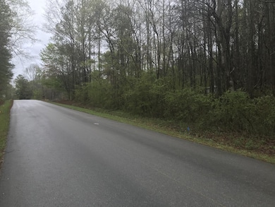 0 Trion Hwy unit RTC2805009, Lafayette, GA 30728 - photo 4