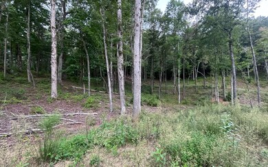 Additional View
