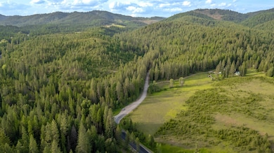 00 Buck Creek Rd, Loon Lake, WA 99148 - photo 5