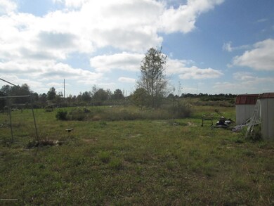 Backyard 2