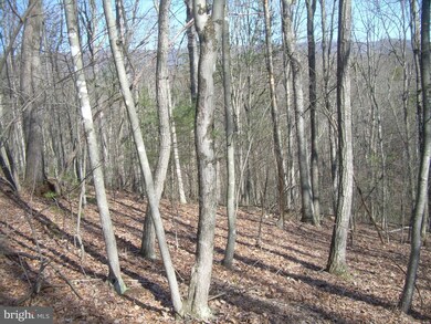 0 Sarah Ln unit 1003456286, Basye, VA 22810 - photo 3