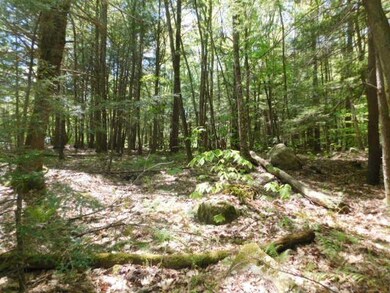 0 Pierce Ln unit 59, Westmoreland, NH 03467 - photo 4