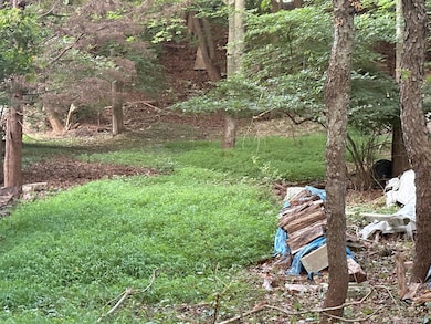 0 Dark Hollow Rd, Port Jeff Sta, NY 11777 - photo 5