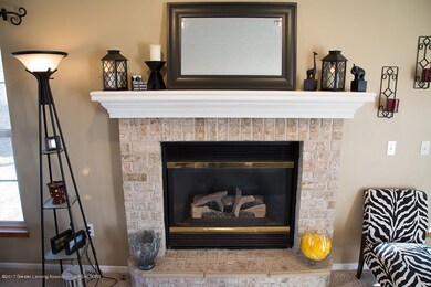 Living Room Fireplace