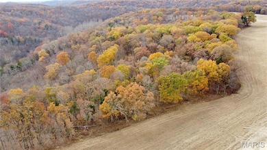 Tract 6 Polston Ln, Hickory Grove Township, MO 63357 - photo 7