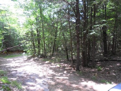 Woods Road forms north boundary