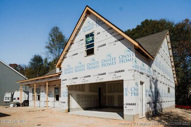 229 Telluride Ct, Aberdeen, NC 28315 - photo 3