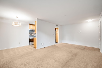4117 W Rivers Edge Cir unit 1, Milwaukee, WI 53209 - photo 4