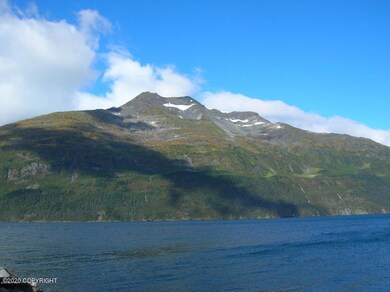 100 Blackstone Rd unit 5, Whittier, AK 99693 - photo 6