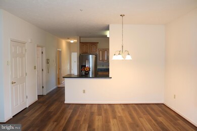 250 Sunbrook Ln unit 132, Hagerstown, MD 21742 - photo 4