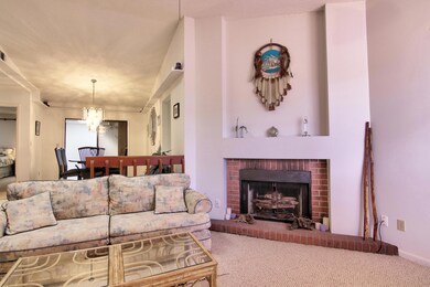 Wood burning Fireplace