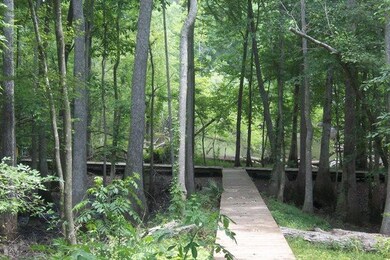 Board Walk to Edisto River Front