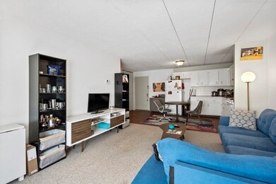 27 Homer Ave unit 25, Cambridge, MA 02138 - photo 2