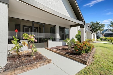 Tidy and neat, Rosewood model