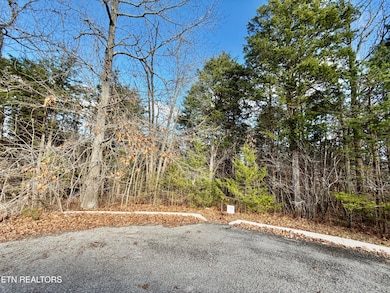 0 Divot Place unit 1323315, Tazewell, TN 37879 - photo 3