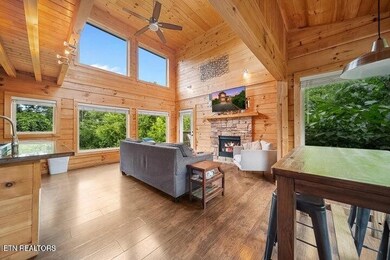 460 Alpine Mountain Way, Pigeon Forge, TN 37863 - photo 6