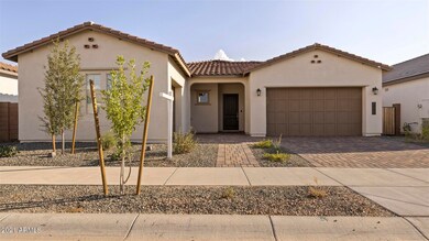 Shane Baker Studios 21061 (183)