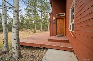20202 Spring Creek Trail, Buffalo Creek, CO 80425 - photo 3