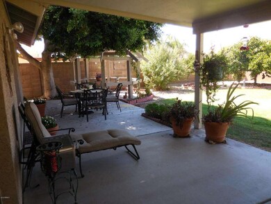 Back yard Patio