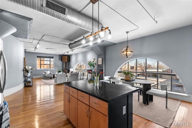 4901 Washington Blvd unit 2C, Saint Louis, MO 63108 - photo 5