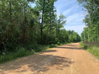. Athens Trail Ne Timberlane Rd NE, Wesson, MS 39191 - photo 7