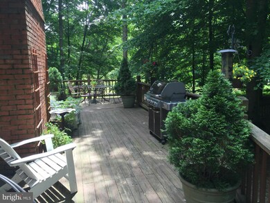 7118 Springbrook Terrace, Spotsylvania, VA 22553 - photo 5