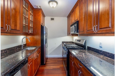 Kitchen featuring stainless steel appliances, dark wood-type flooring, dark stone counters, glass insert cabinets, and brown cabinetry