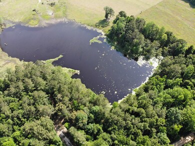 TBD D & G Ln, Whigham, GA 39892 - photo 3