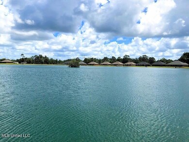 community lake