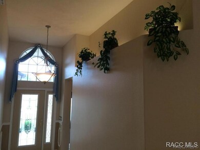Plant Shelves