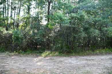 Lot 3 Cedar Ct, Plantersville, TX 77363 - photo 3