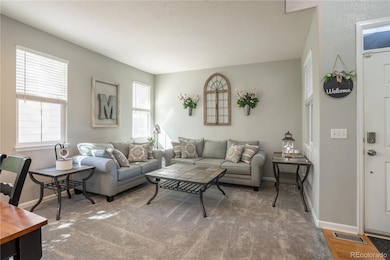 10530 Westcliff Way, Highlands Ranch, CO 80130 - photo 6