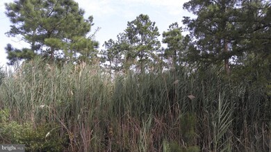 2506 Wesley Rd, Crapo, MD 21626 - photo 4