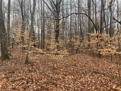 0 Zoo Pkwy unit 1134262, Asheboro, NC 27205 - photo 4