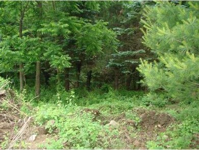 130 Floral St, Shrewsbury, MA 01545 - photo 2