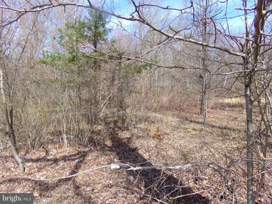 3551 Whiskey Bottom Rd, Laurel, MD 20724 - photo 4