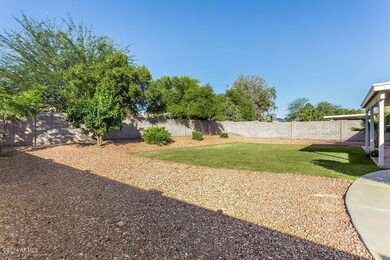 Large Backyard