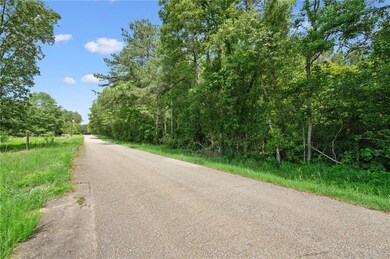 Parcel 1 7 01 Acres Bruhl Rd, Folsom, LA 70437 - photo 6