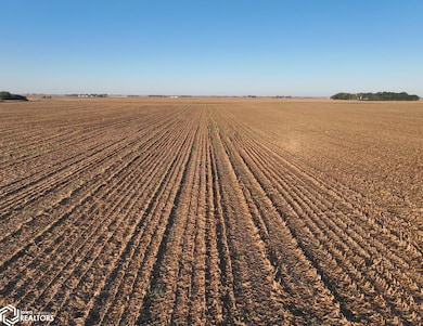 0 210th Ave, Newell, IA 50568 - photo 4