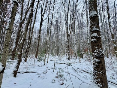 0 Preston Hill Rd, Camden, NY 13316 - photo 5