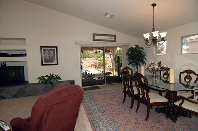 Yucca24