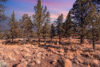 17630 Mountain view