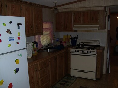 2346 W Oakwood Blvd, Bitely, MI 49309 - photo 5