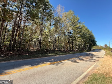 2089 Jones Ferry Rd, Elberton, GA 30635 - photo 5