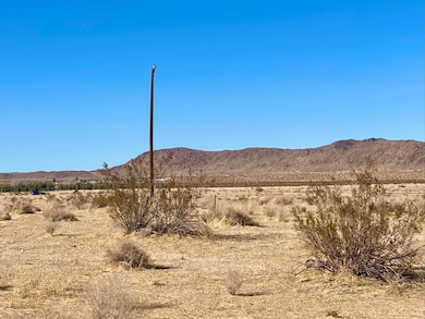 4021 Sunfair Rd, Joshua Tree, CA 92252 - photo 7