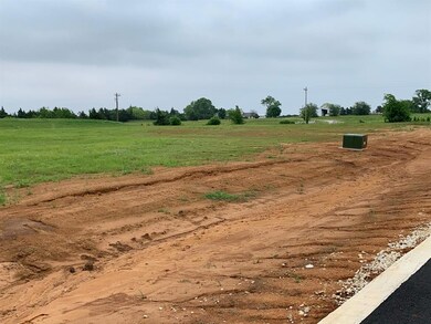 140 Ruby Hill Ln, Gordonville, TX 76245 - photo 2